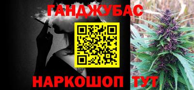 СК Новодвинск