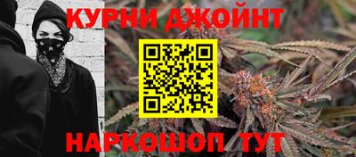 мдпв Новозыбков