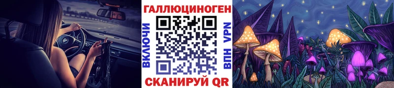 Галлюциногенные грибы Cubensis  блэк спрут как войти  Туапсе 