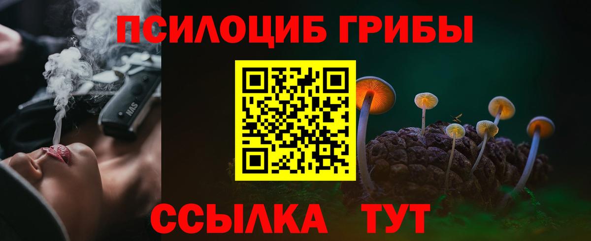 где найти наркотики  Псилоцибиновые грибы Psilocybe  Вход с VPN  Туапсе 